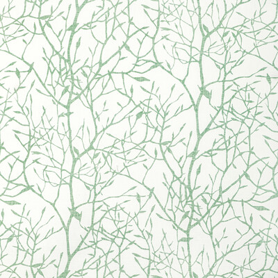 Kravet Basics Timber Top.3.0 Timber Top Multipurpose Fabric in Grass/Green/Ivory/Emerald